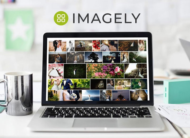 Imagely (v2.3) + Nextgen pro (3.17) + Lightroom Plugin (1.0.22) 1 Imagely (v2.3) + Nextgen pro (3.17) + Lightroom Plugin (1.0.22)