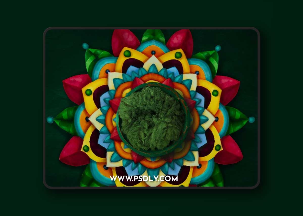 MegBitton - Newborn Mandala 1 MegBitton - Newborn Mandala