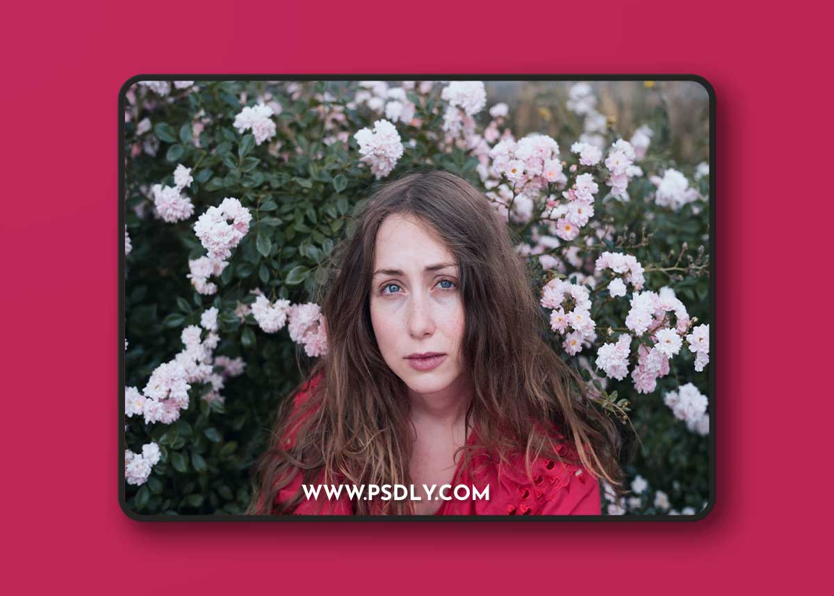 The Classic Presets - Classic CineStock Profiles for Lightroom 1 The Classic Presets - Classic CineStock Profiles for Lightroom