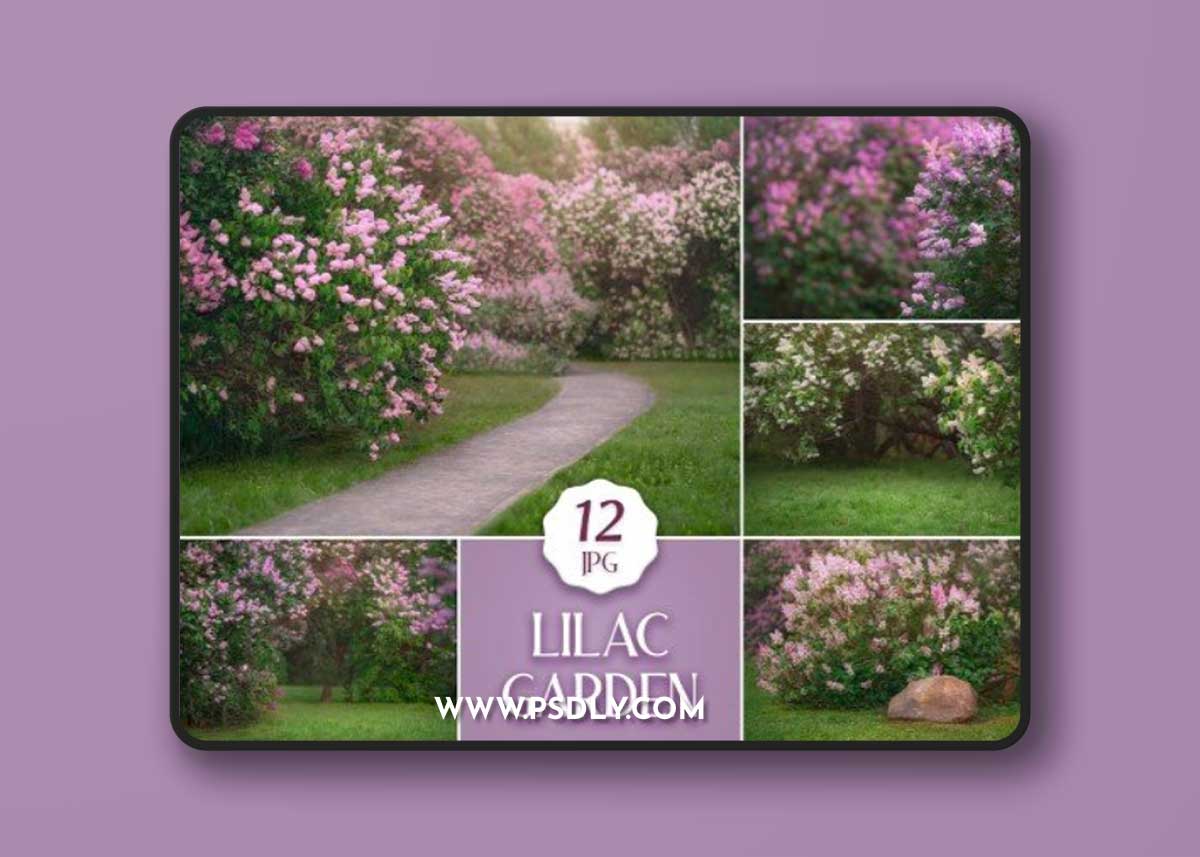 12 Lilac Garden Backdrops, Summer Digital Photoshop Backgrounds with Flowering Trees & Green Grass for Photographers 1 12 Lilac Garden Backdrops, Summer Digital Photoshop Backgrounds with Flowering Trees & Green Grass for Photographers
