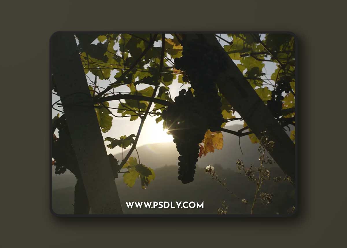 Buttery LUTs: Sony SLog2 / SLog3 - Natural REC709 1 Buttery LUTs: Sony SLog2 / SLog3 - Natural REC709