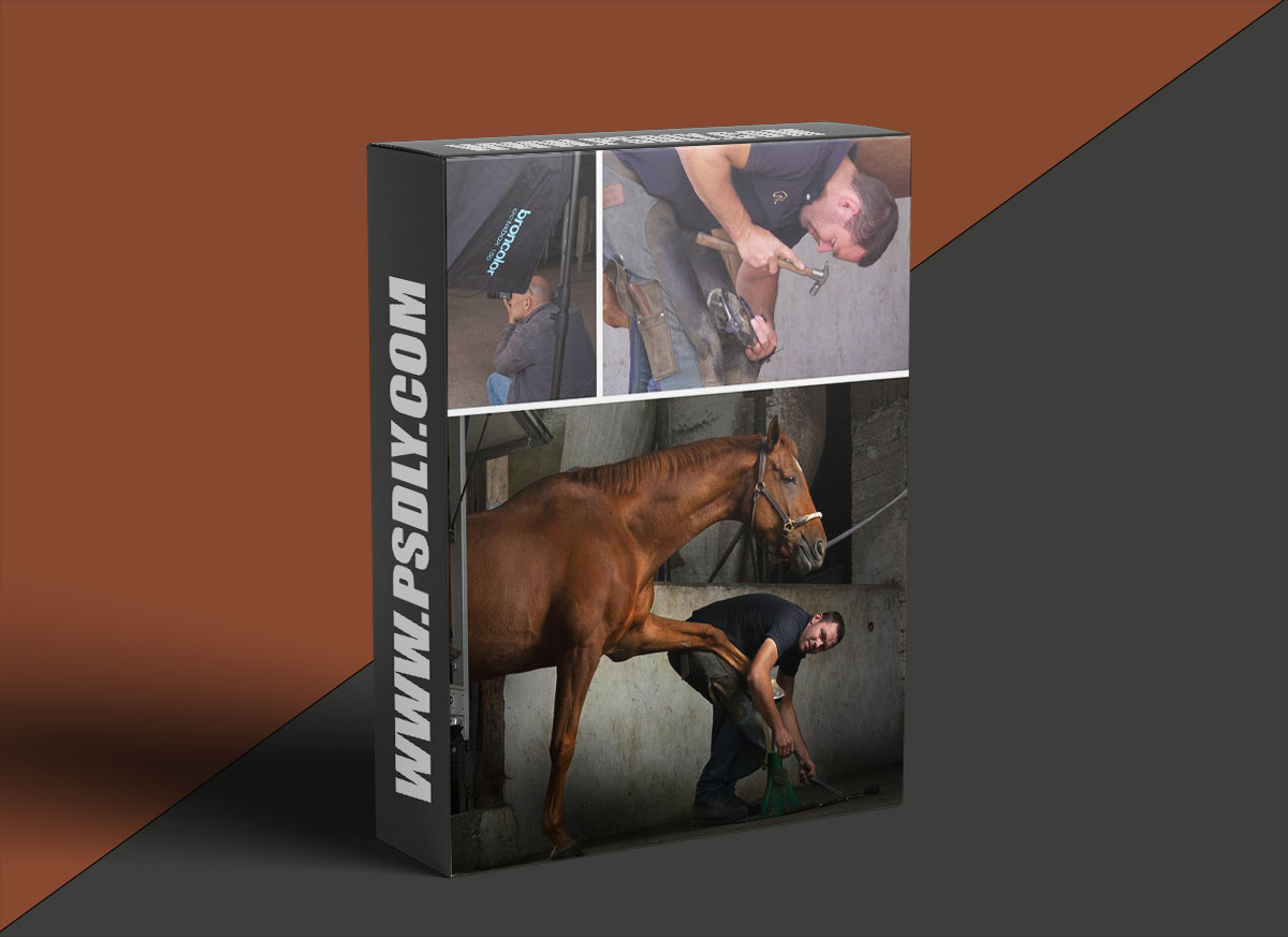 Karl Taylor - Environmental Portraits: Farrier 1 Karl Taylor - Environmental Portraits: Farrier