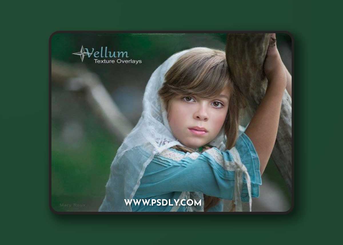 Portrait Pizzaz - Vellum Texture Overlays 1 Portrait Pizzaz - Vellum Texture Overlays