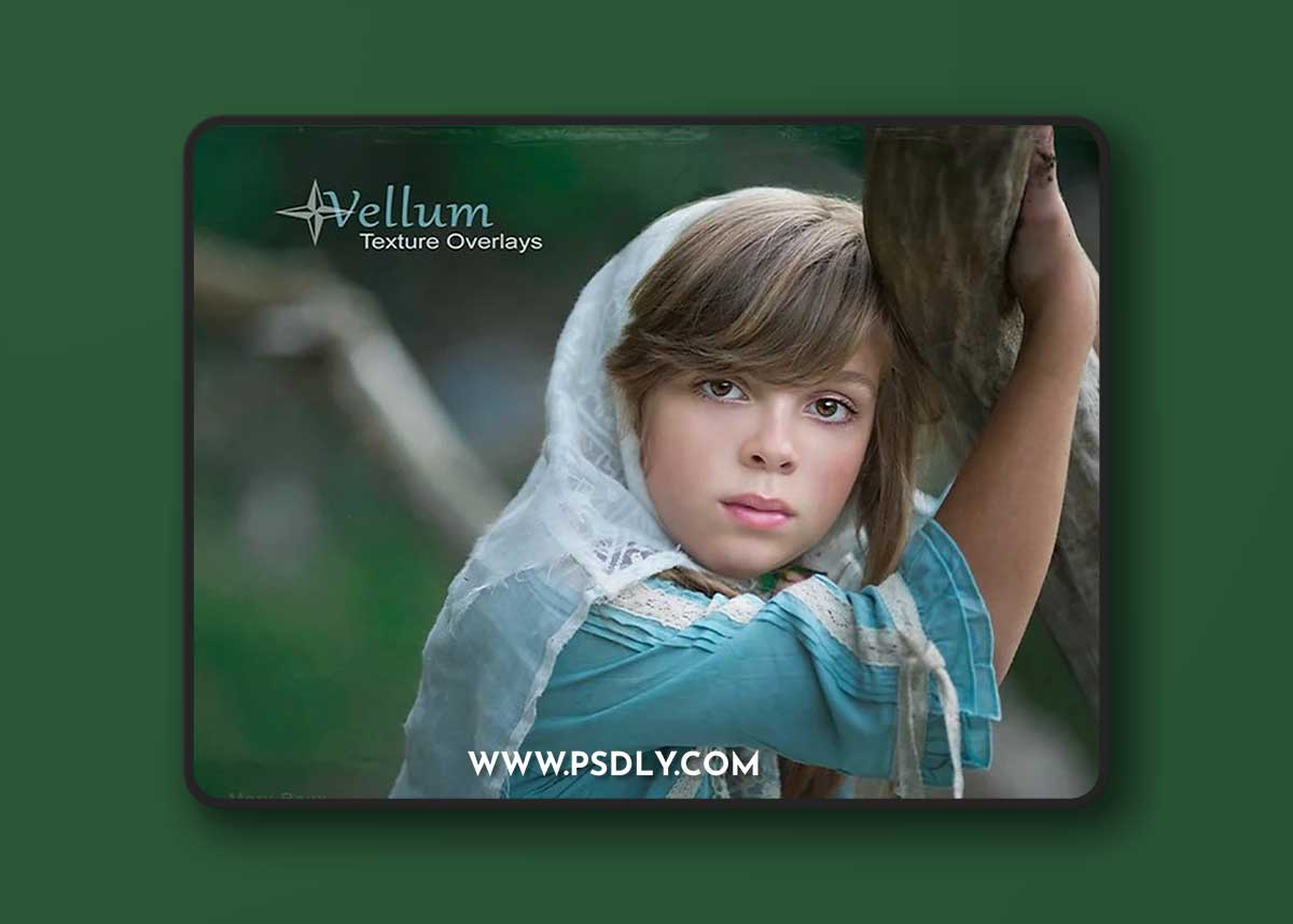 Portrait Pizzaz: Vellum Texture Overlays 1 Portrait Pizzaz: Vellum Texture Overlays