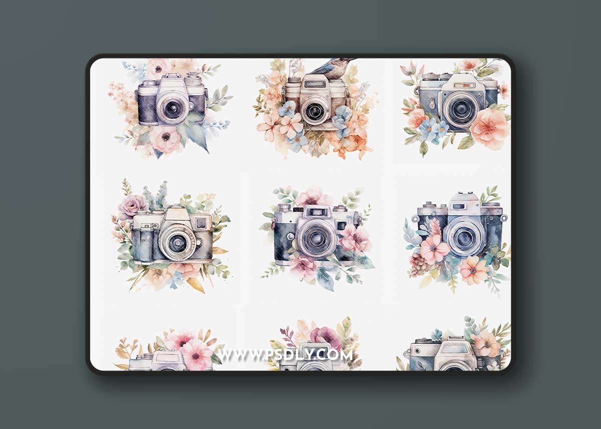 Squijoo - Watercolor Design Elements – Floral Cameras 1 Squijoo - Watercolor Design Elements – Floral Cameras