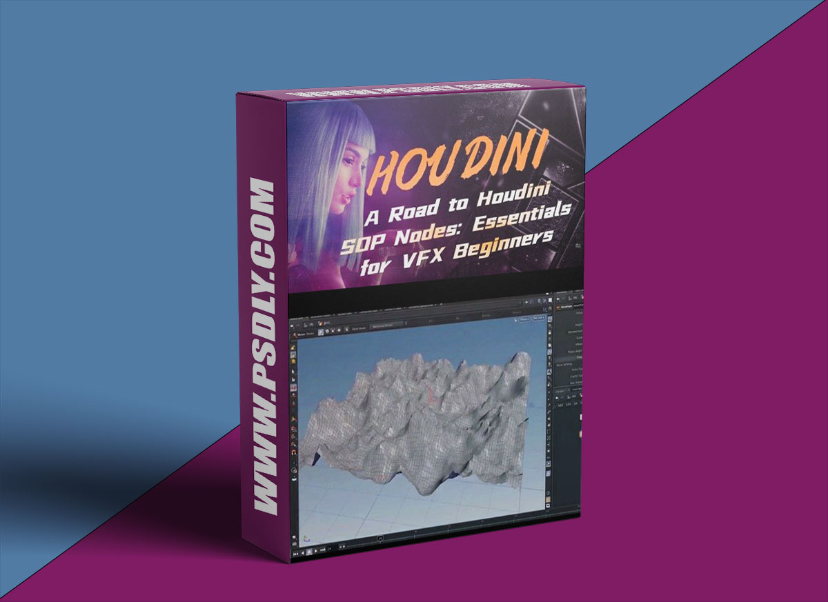 Wingfox – A Road to Houdini SOP Nodes - Essentials for VFX Beginners with Sun Yefei 1 Wingfox – A Road to Houdini SOP Nodes - Essentials for VFX Beginners with Sun Yefei