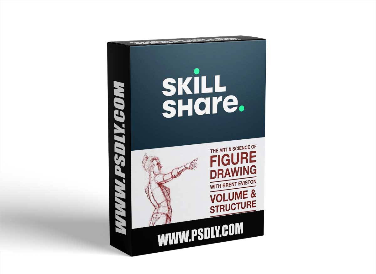 The Art & Science of Figure Drawing / VOLUME & STRUCTURE / ORIENTATION 1 The Art & Science of Figure Drawing / VOLUME & STRUCTURE / ORIENTATION
