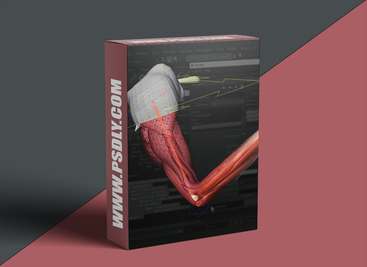 The Gnomon Workshop - Introduction to Ziva VFX: Volume 1 1 The Gnomon Workshop - Introduction to Ziva VFX: Volume 1