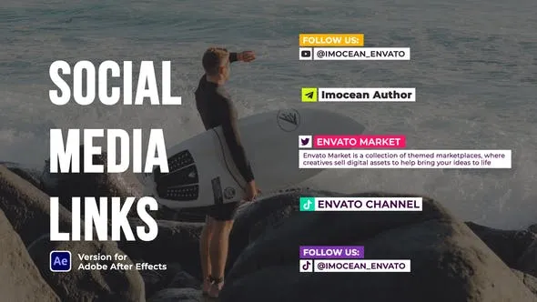 Videohive Social Networks Links 46158520 1 Videohive Social Networks Links 46158520