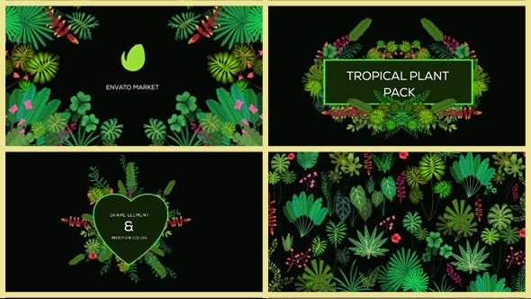 Videohive Tropical Plant Pack 20676721 1 Videohive Tropical Plant Pack 20676721