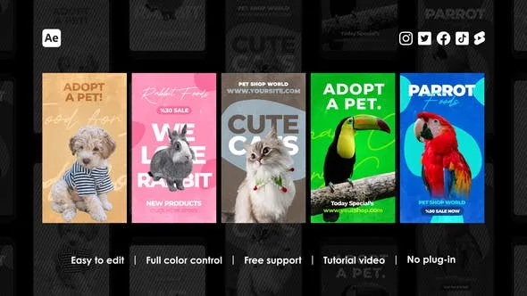 Videohive Veterinary Instagram Reels 45959777 1 Videohive Veterinary Instagram Reels 45959777