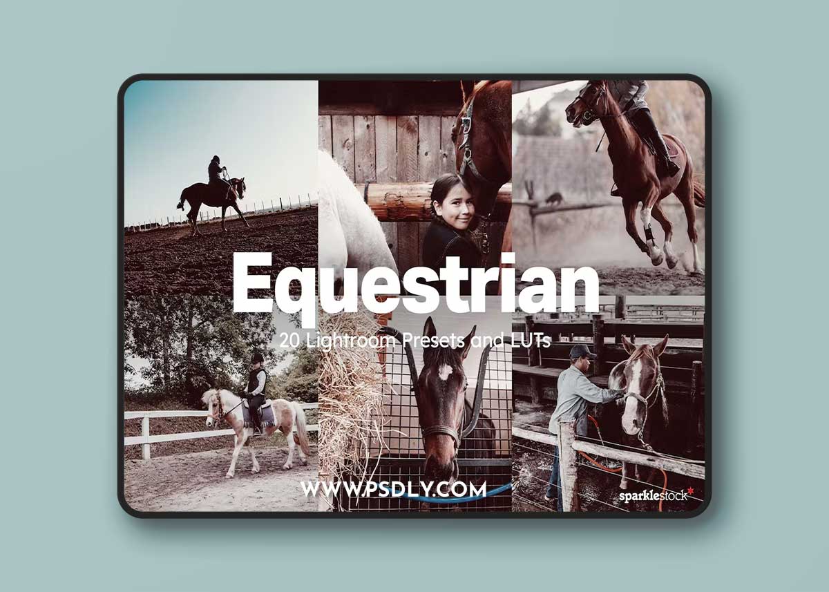 20 Equestrian Lightroom Presets and LUTs D4KVSRA 1 20 Equestrian Lightroom Presets and LUTs D4KVSRA