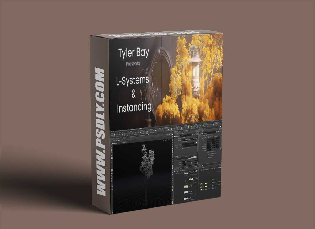 CG Forge L-Systems & Instancing 1 CG Forge L-Systems & Instancing