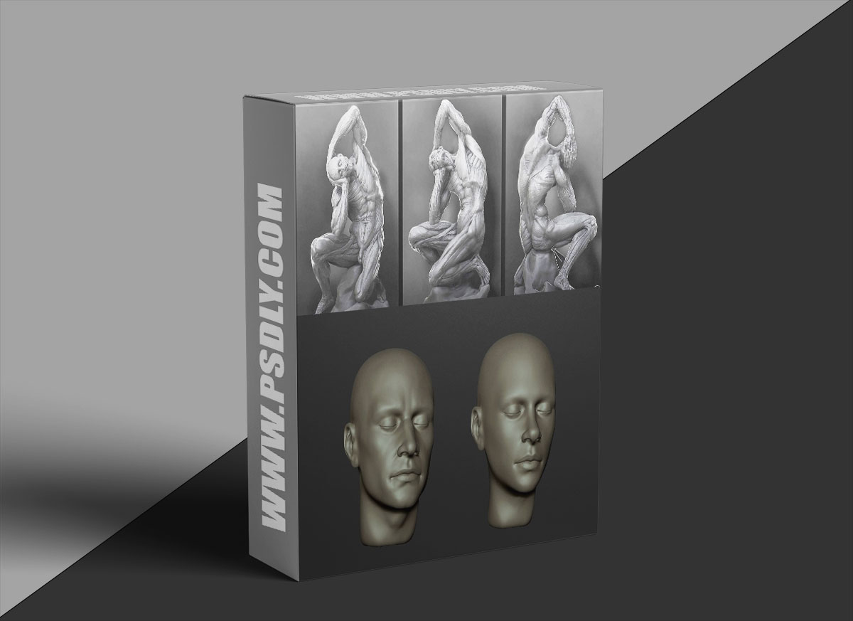 CGMA – Anatomy For Production 1 CGMA – Anatomy For Production