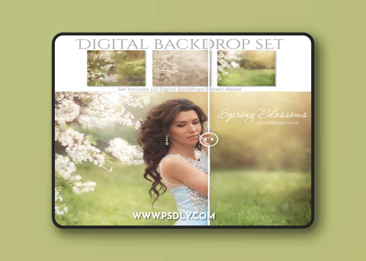 Digital Backdrop Set - Spring Blossoms 1 Digital Backdrop Set - Spring Blossoms