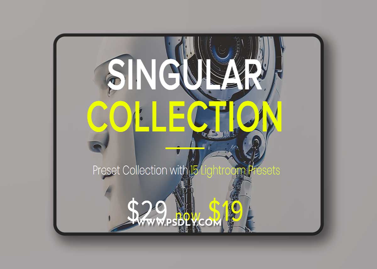 Singular Lightroom Presets Pack by Lookfilter 1 Singular Lightroom Presets Pack by Lookfilter
