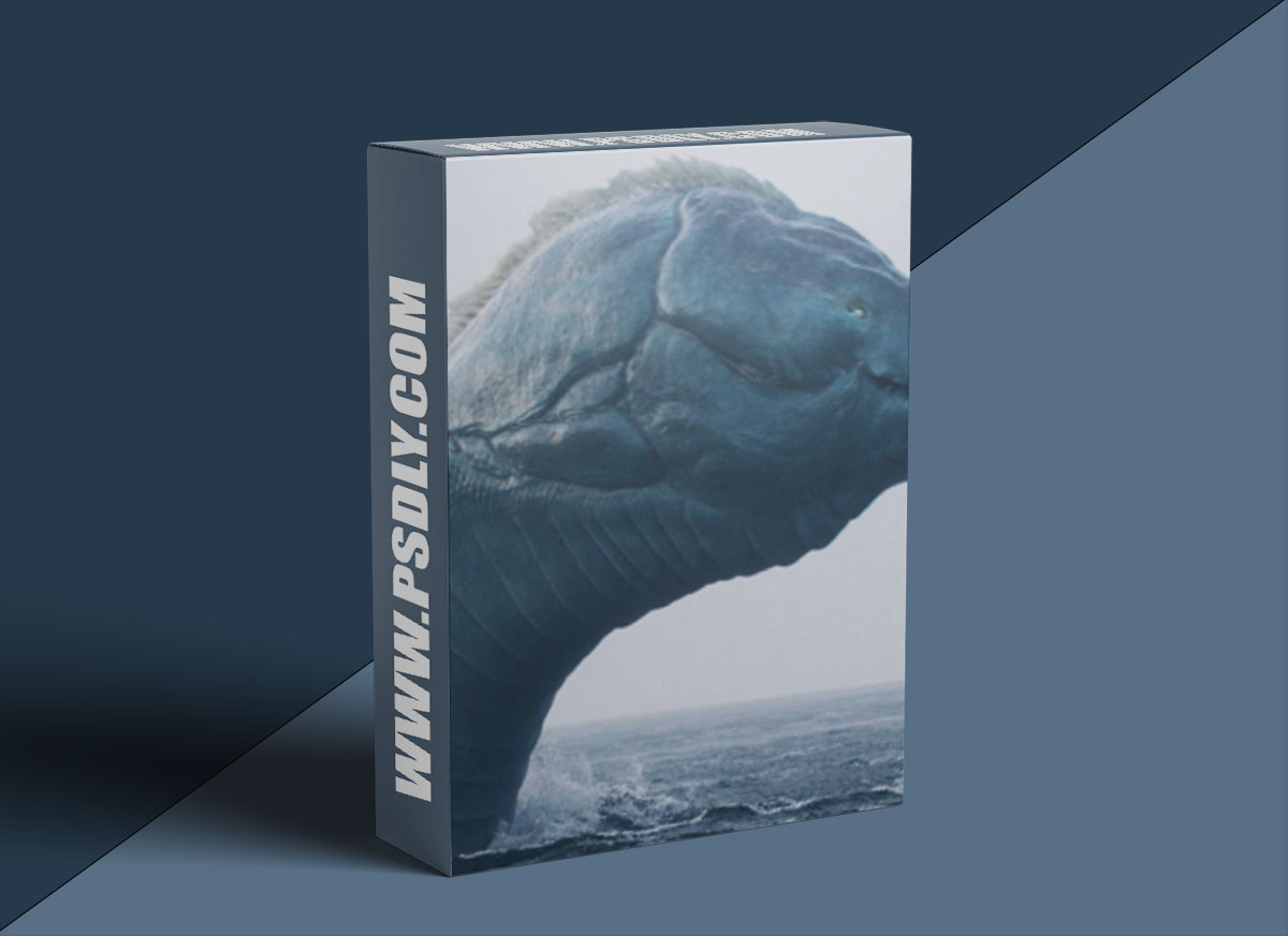 The Gnomon Workshop - Large-Scale Water Fx In Houdini 1 The Gnomon Workshop - Large-Scale Water Fx In Houdini