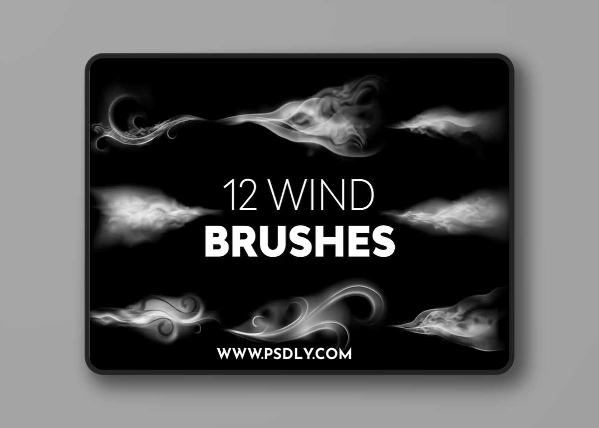 Wind Brushes SWJHZYW 1 Wind Brushes SWJHZYW