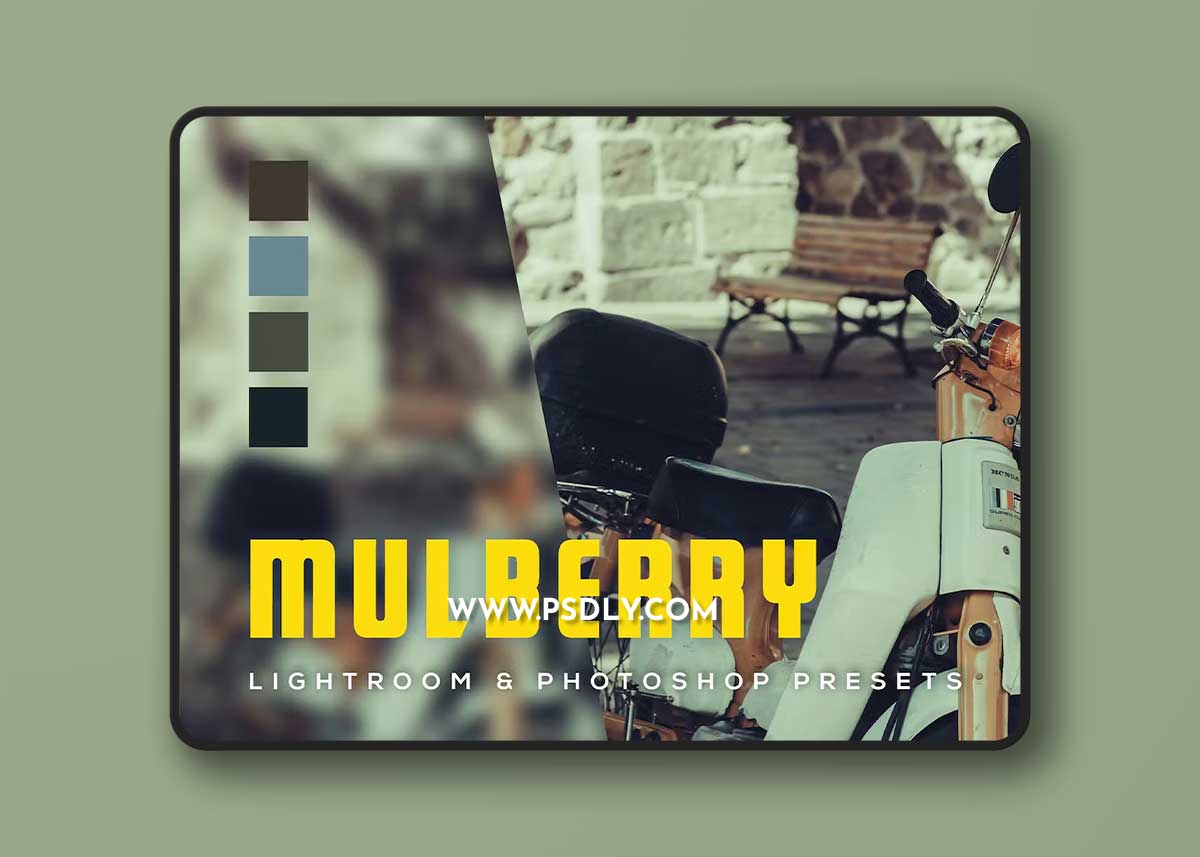 6 Mulberry Lightroom and Photoshop Presets BJNU3G7 1 6 Mulberry Lightroom and Photoshop Presets BJNU3G7