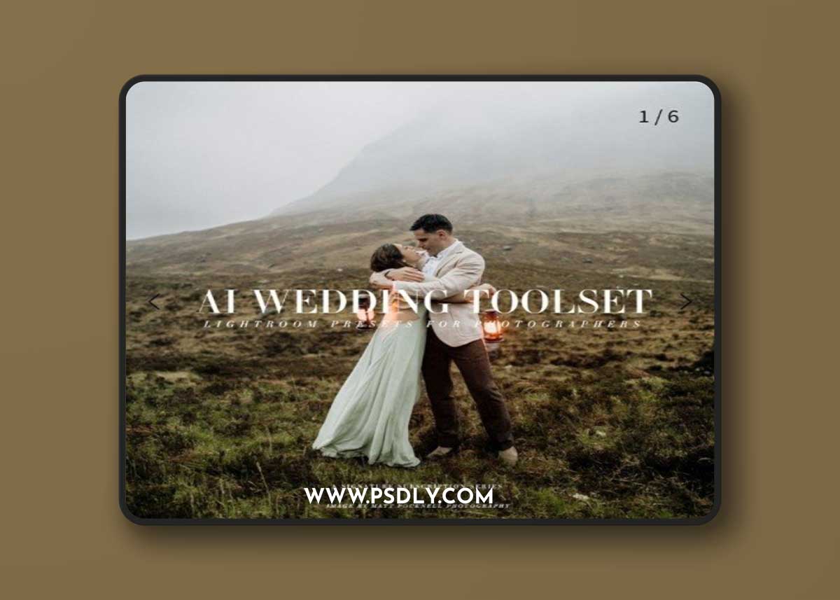 Archipelago - AI Wedding Toolset - Lightroom Presets 1 Archipelago - AI Wedding Toolset - Lightroom Presets