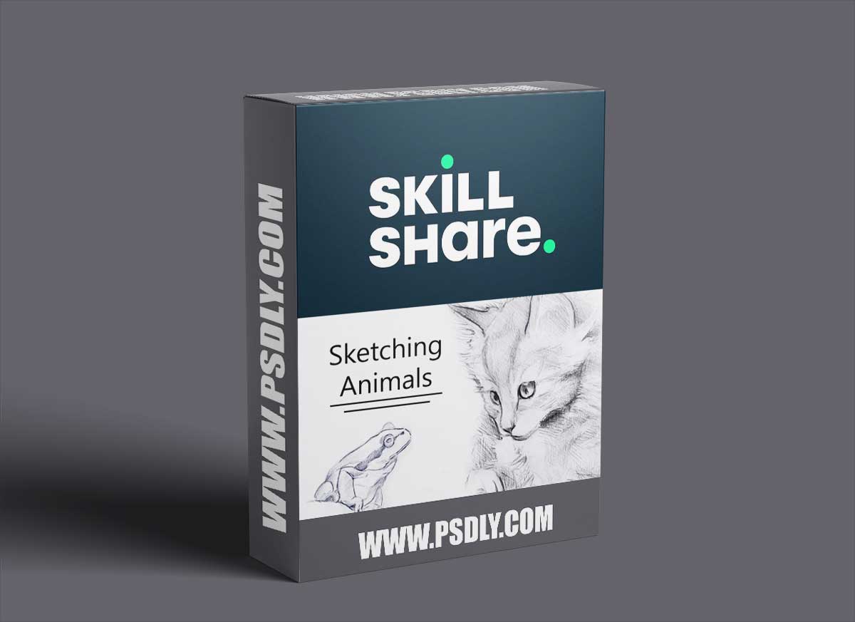 Sketching Animal Portraits - 5 Exercises to Help you 'See Like an Artist' 1 Sketching Animal Portraits - 5 Exercises to Help you 'See Like an Artist'