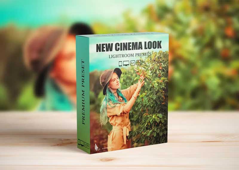 Steal Film Cinematic Look Lightroom Presets ALTDAEM 1 Steal Film Cinematic Look Lightroom Presets ALTDAEM
