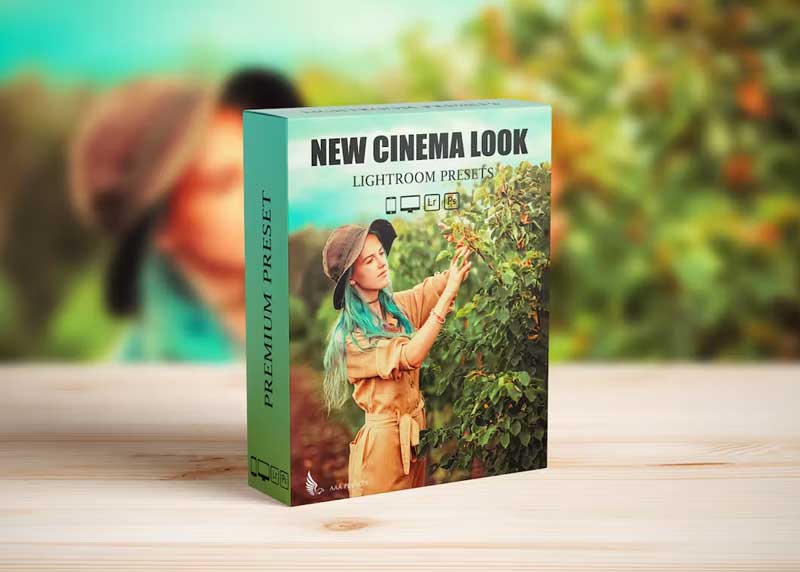 Steal Film Cinematic Look Lightroom Presets 1 Steal Film Cinematic Look Lightroom Presets