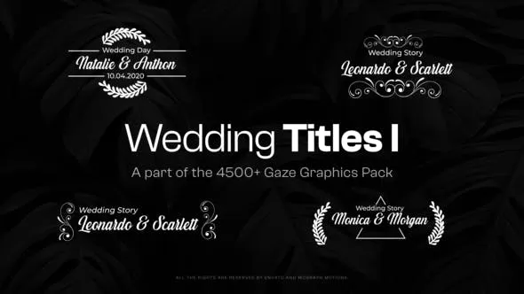 Videohive Elegant Wedding Titles 47686653 1 Videohive Elegant Wedding Titles 47686653