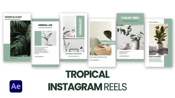 Videohive Tropical Instagram Reels 47148520 1 Videohive Tropical Instagram Reels 47148520