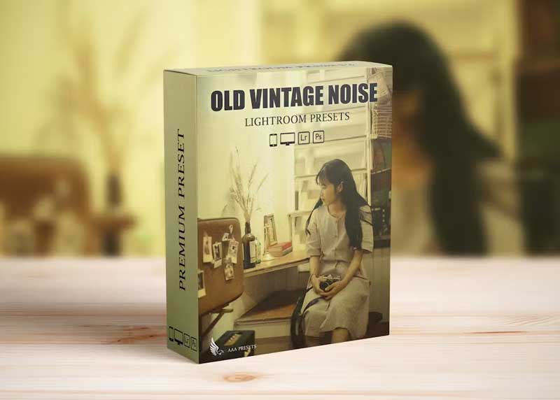 Vintage Retro Grain Film Look Lightroom Preset QRLTVHA 1 Vintage Retro Grain Film Look Lightroom Preset QRLTVHA