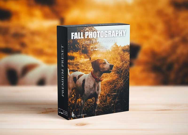 Autumn Fall Presets for Lightroom Mobile & Desktop YZAPAL7 1 Autumn Fall Presets for Lightroom Mobile & Desktop YZAPAL7