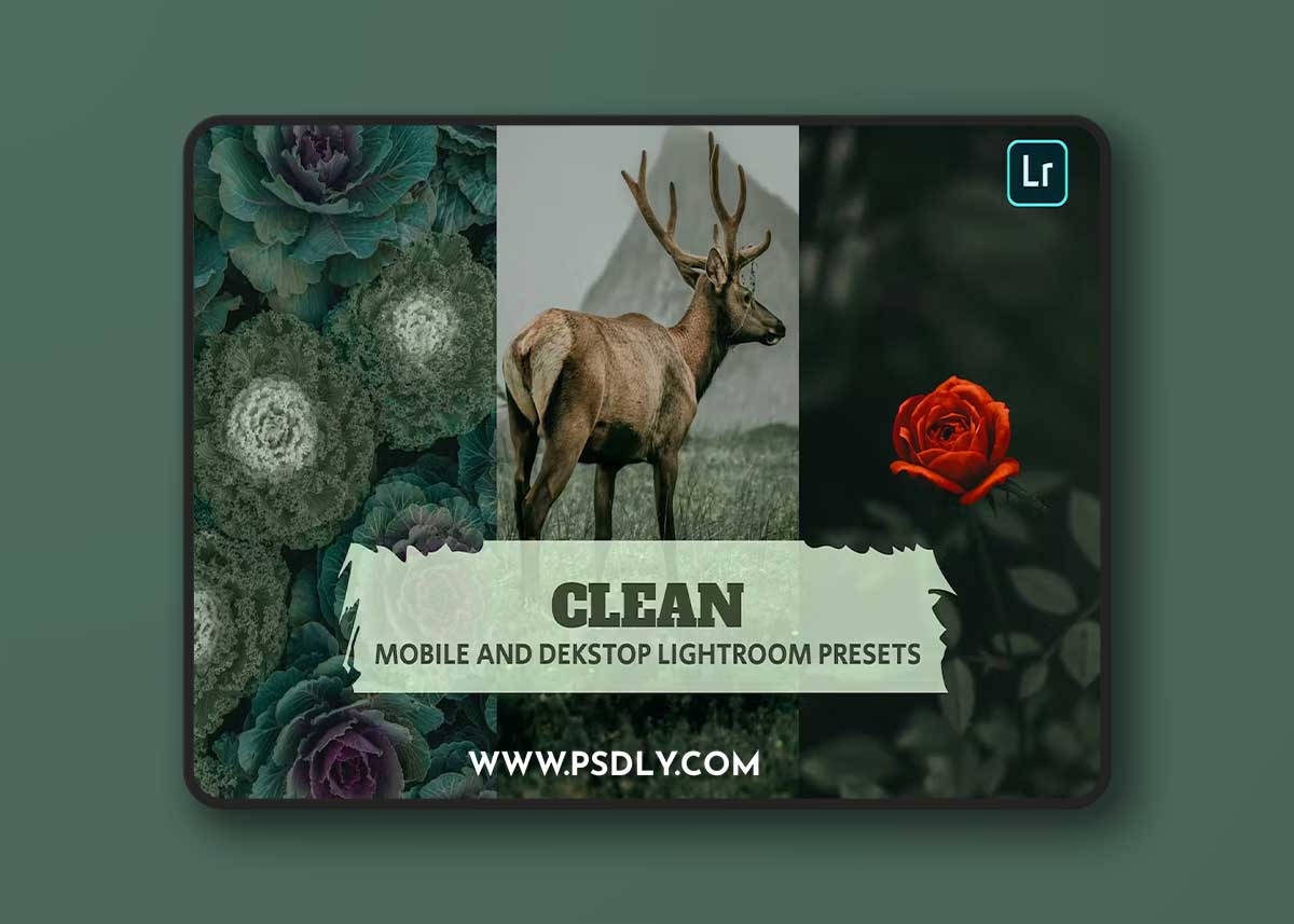 Clean Lightroom Presets Dekstop and Mobile MLG8FV4 1 Clean Lightroom Presets Dekstop and Mobile MLG8FV4