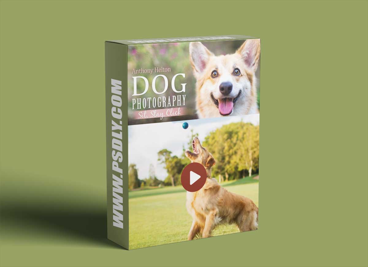 Dog Photography: Sit, Stay, Click with Anthony Helton 1 Dog Photography: Sit, Stay, Click with Anthony Helton
