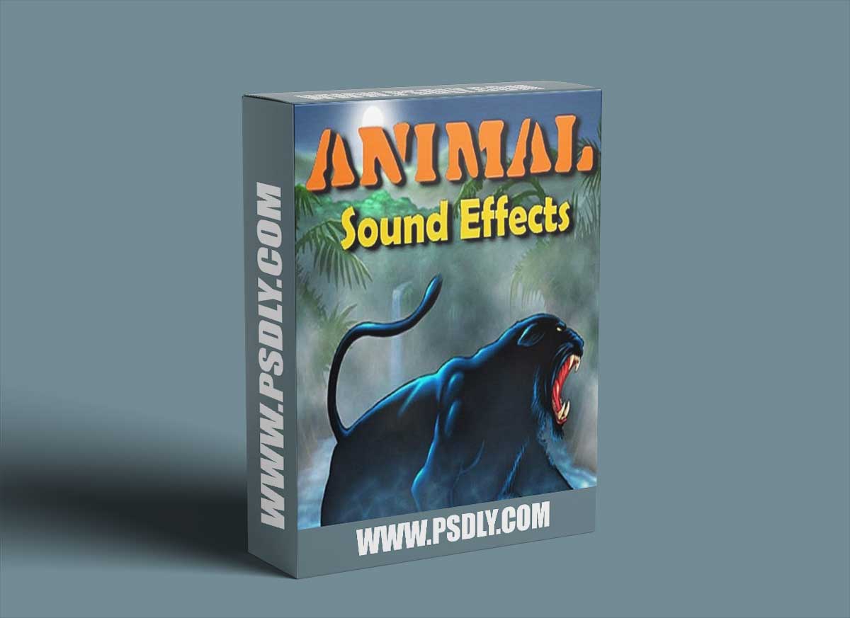 Hollywood Studio Sound Effects Animal Sound Effects 1 Hollywood Studio Sound Effects Animal Sound Effects