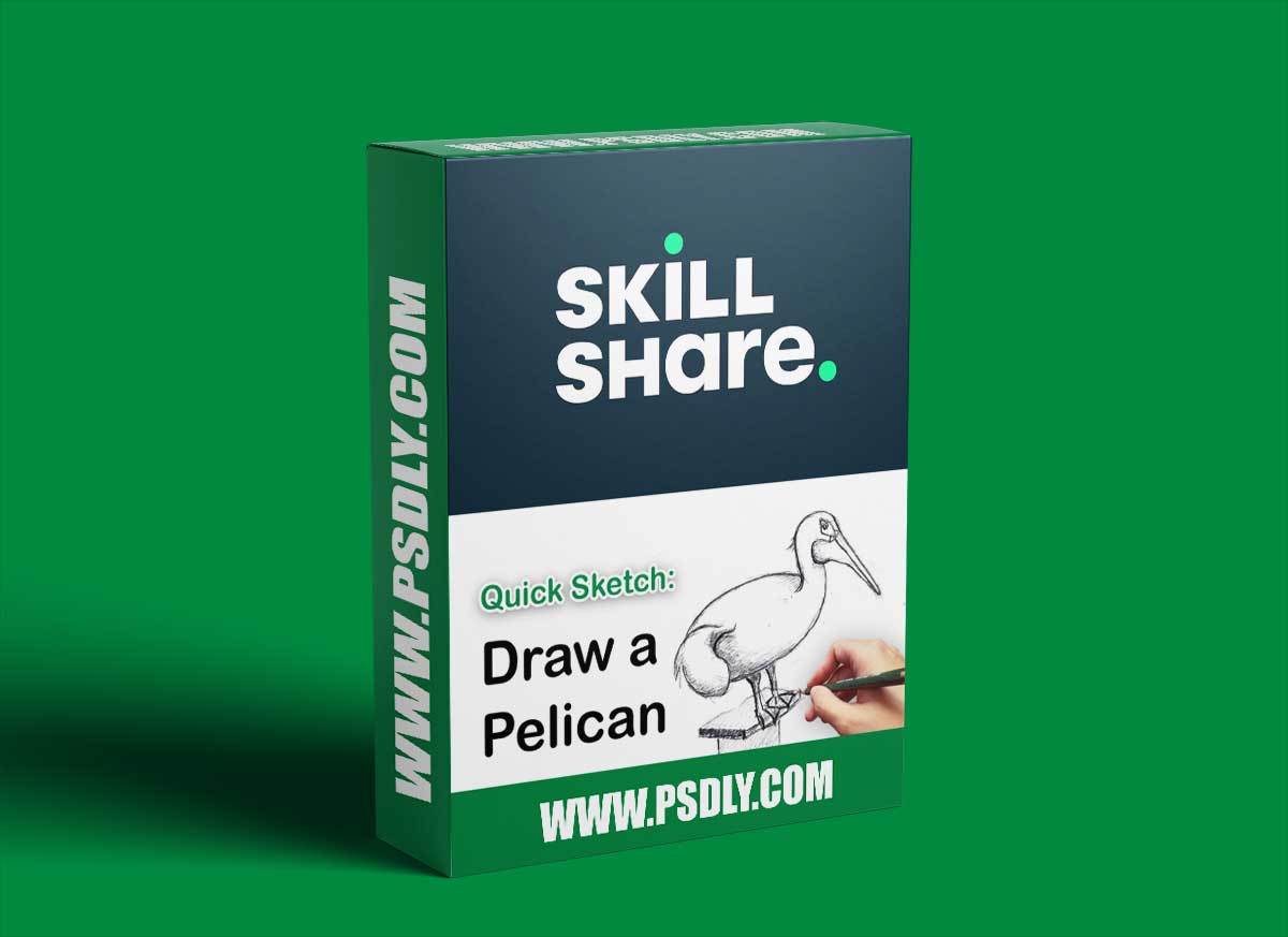 Quick Sketching Class: Learn to Draw a Pelican - Drawing for Beginners 1 Quick Sketching Class: Learn to Draw a Pelican - Drawing for Beginners