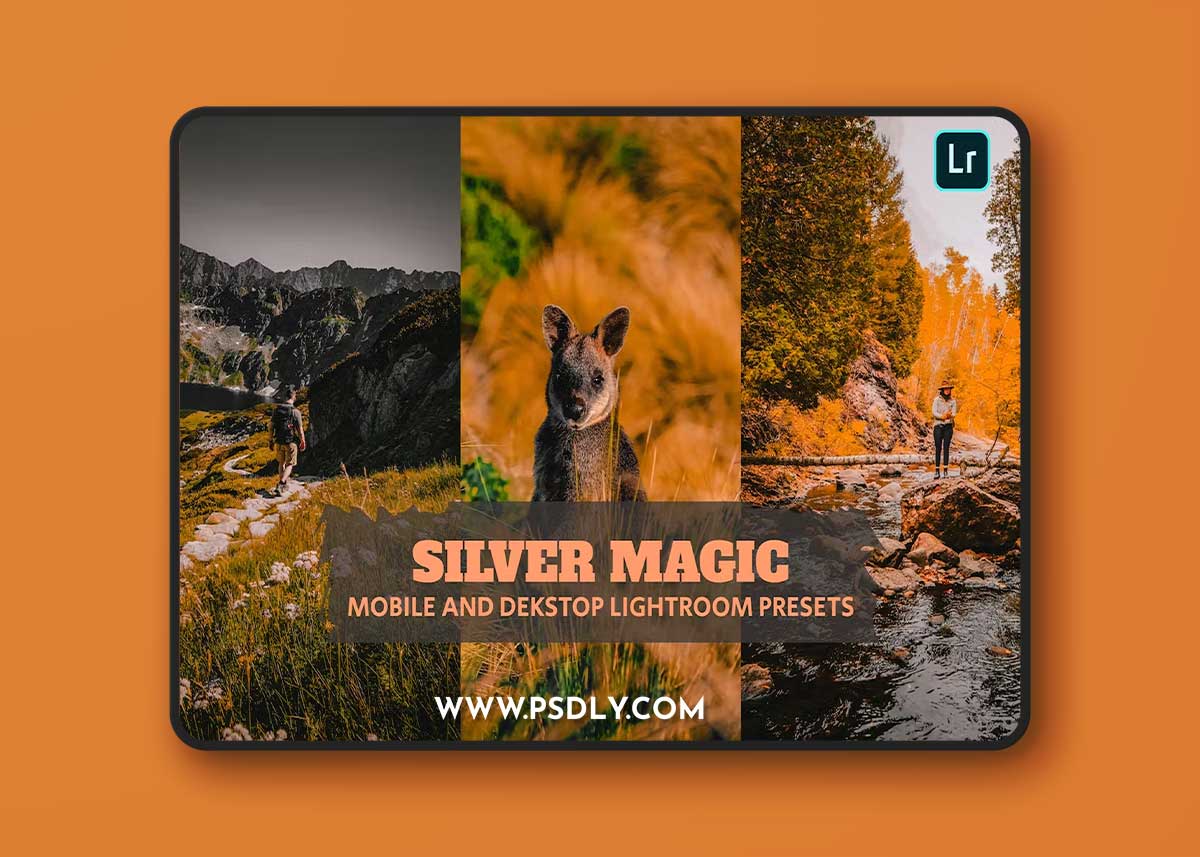 Silver Magic Lightroom Presets Dekstop and Mobile NZR6HJX 1 Silver Magic Lightroom Presets Dekstop and Mobile NZR6HJX