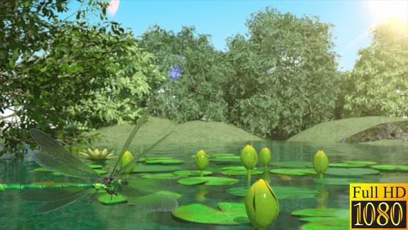 Videohive Lilies and Dragonfly 40026892 1 Videohive Lilies and Dragonfly 40026892