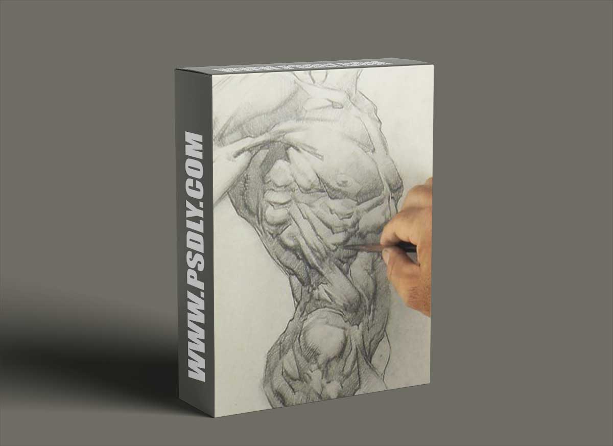 Watts Atelier - Bridgman Torso: Front - Jeff Watts 1 Watts Atelier - Bridgman Torso: Front - Jeff Watts