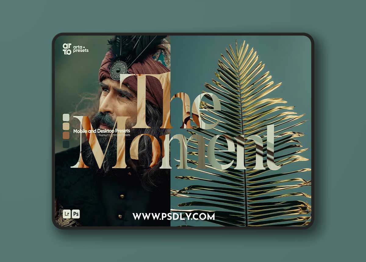 ARTA - The Moment Presets for Lightroom N4D9XZ5 1 ARTA - The Moment Presets for Lightroom N4D9XZ5