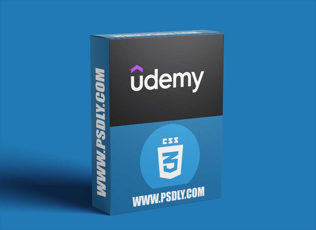 CSS Fundamentals: Comprehensive Training for Web Developers 1 CSS Fundamentals: Comprehensive Training for Web Developers