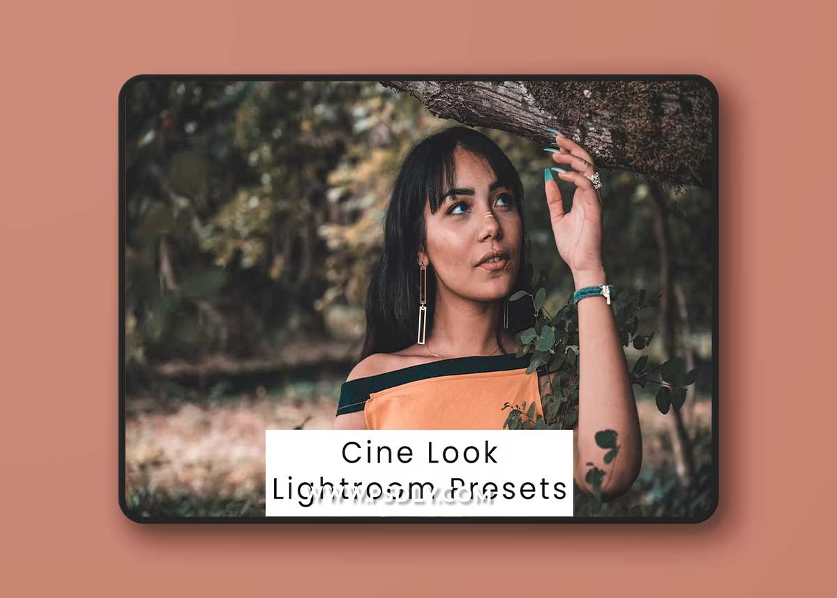 Cine Look Lightroom Presets 9HKL5C9 1 Cine Look Lightroom Presets 9HKL5C9