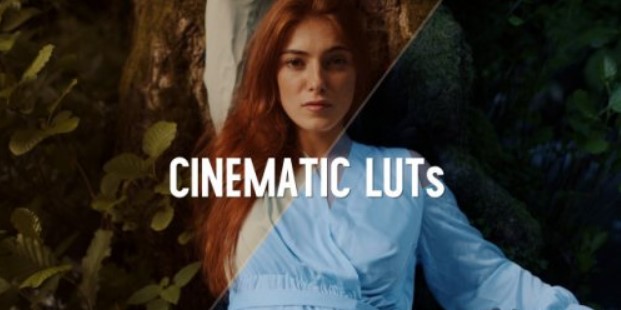 Cinematic Color LUTs (After Effects Presets) 1 Cinematic Color LUTs (After Effects Presets)
