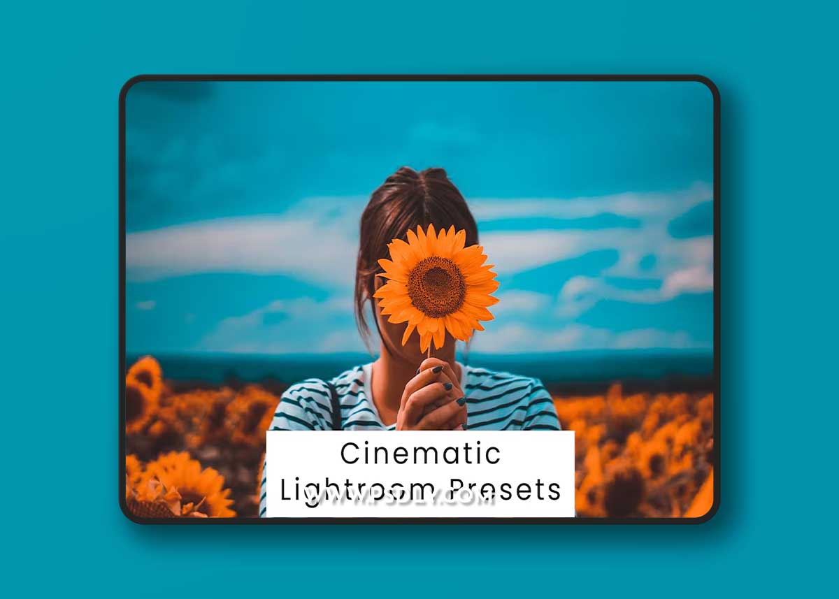 Cinematic Lightroom Presets Y95BSQ7 1 Cinematic Lightroom Presets Y95BSQ7