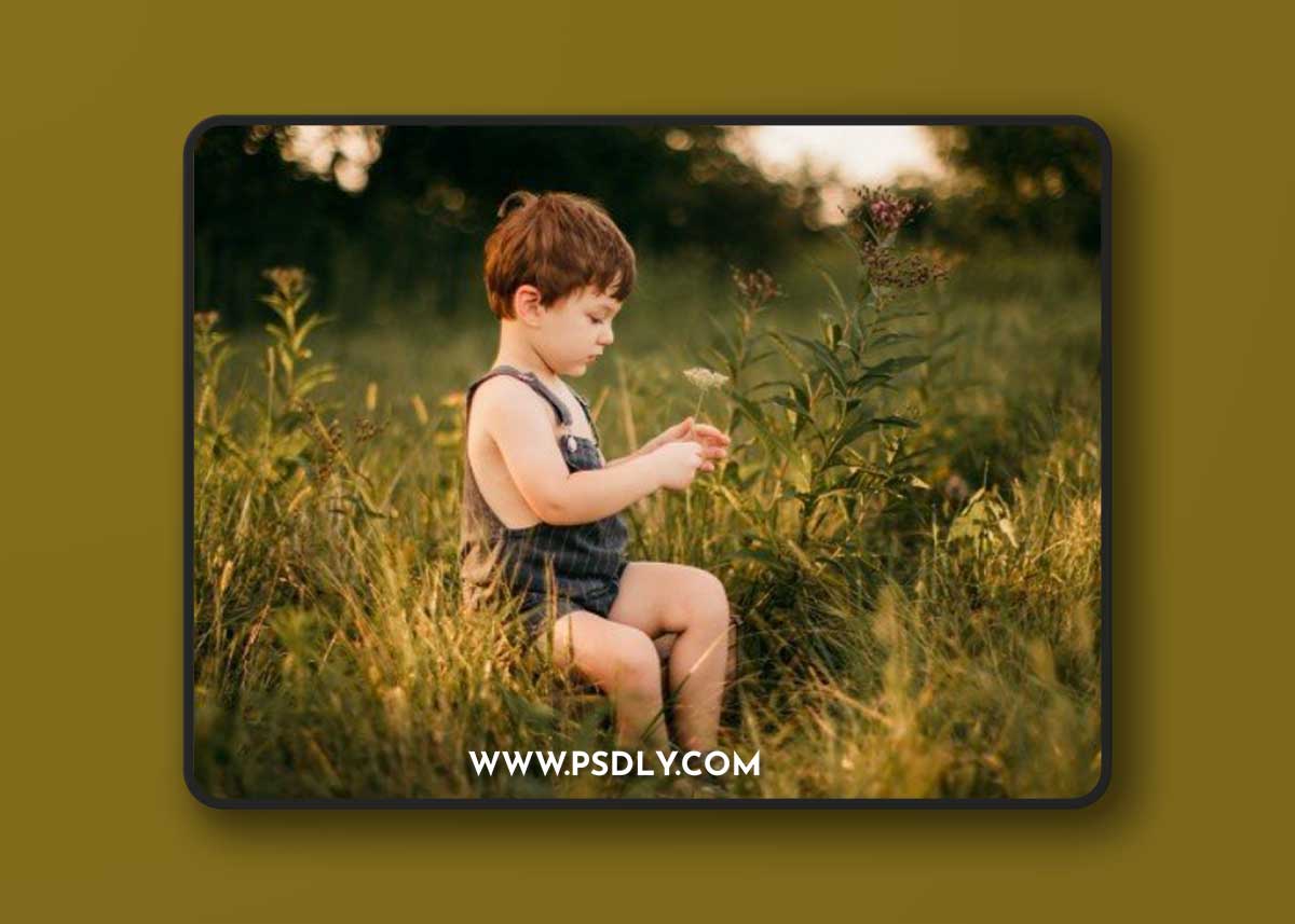 HONEY HUE PRESETS - Soulmate Presets 1 HONEY HUE PRESETS - Soulmate Presets