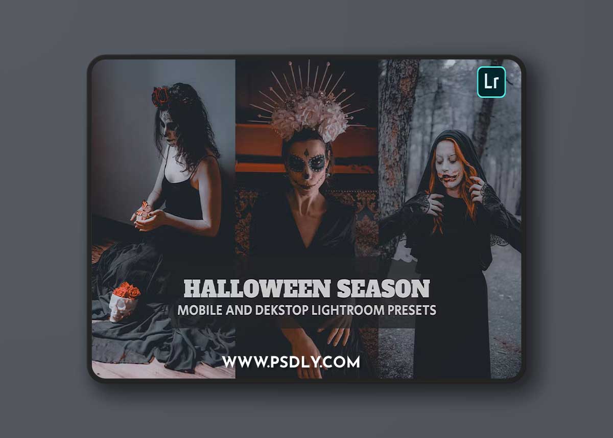 Halloween Season Lightroom Presets Dekstop Mobile YNLQN9Y 1 Halloween Season Lightroom Presets Dekstop Mobile YNLQN9Y