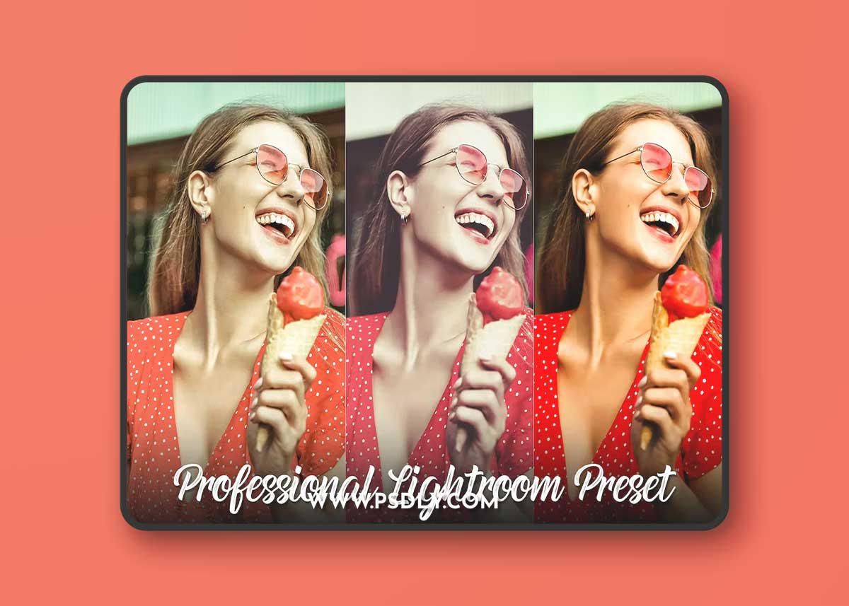 25 Professional Lightroom Preset 1 25 Professional Lightroom Preset