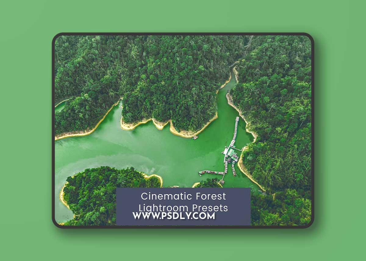 Cinematic Forest Lightroom Presets Y4BBJ57 1 Cinematic Forest Lightroom Presets Y4BBJ57