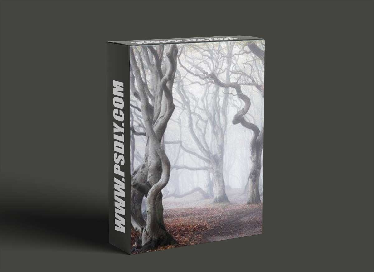 Mastering Forest Photography - Mads Peter Iversen 1 Mastering Forest Photography - Mads Peter Iversen