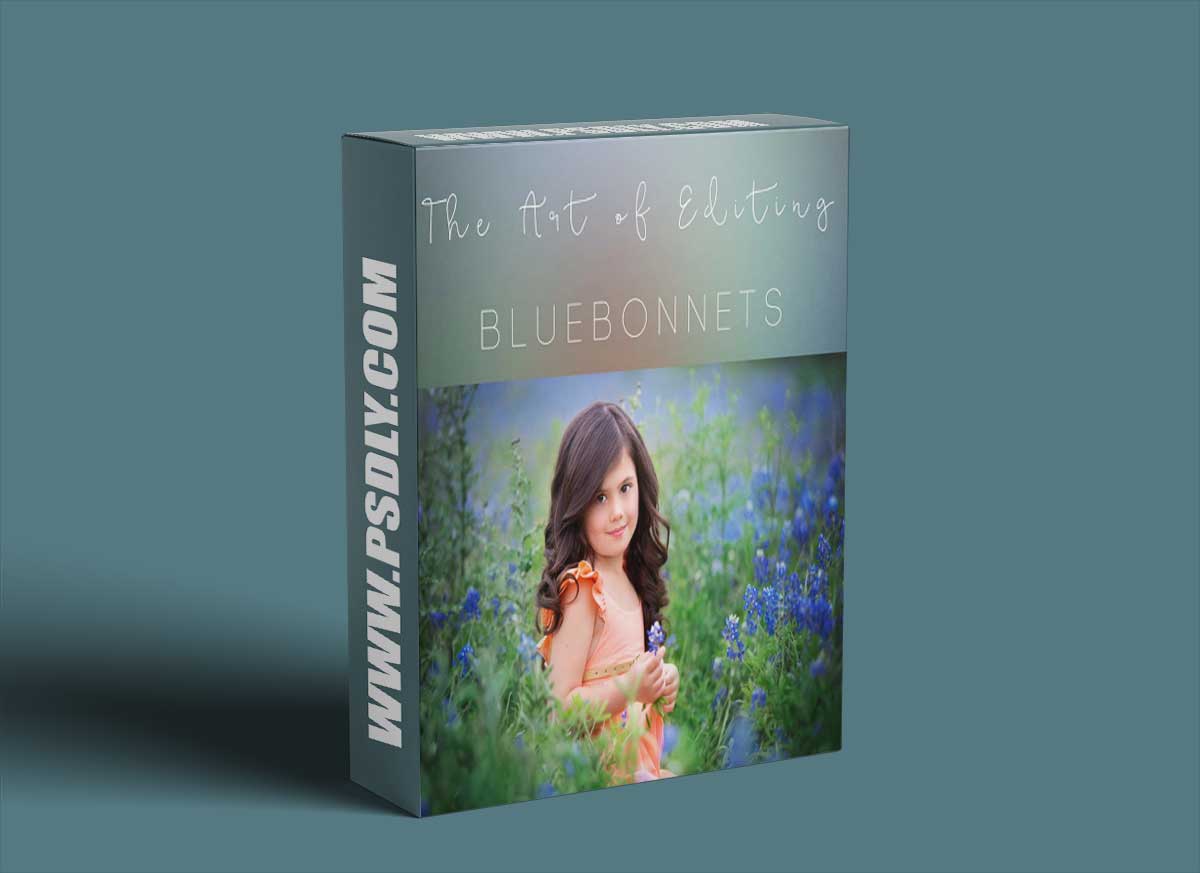 Sandra Bianco - Bluebonnets edit 1 Sandra Bianco - Bluebonnets edit
