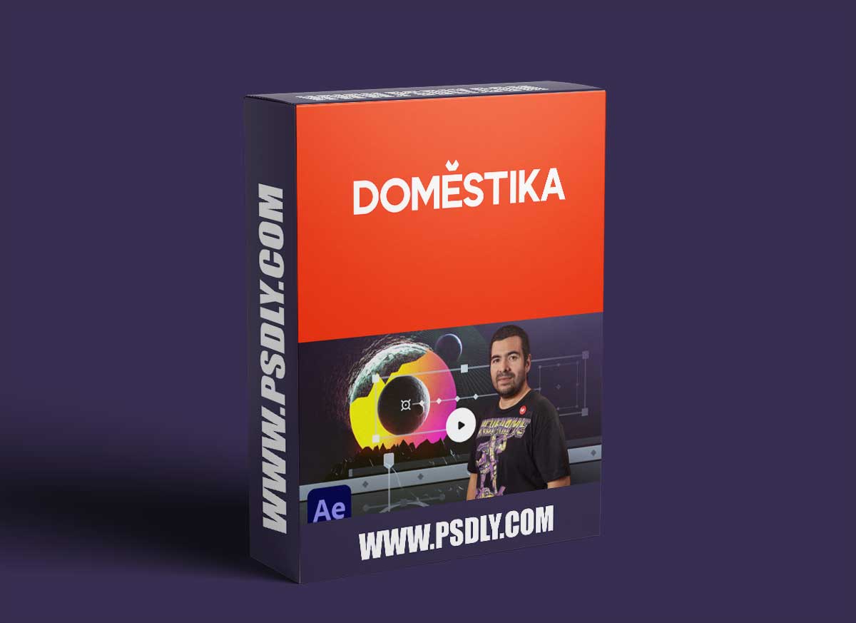 Domestika - Creation of animated infographics 1 Domestika - Creation of animated infographics